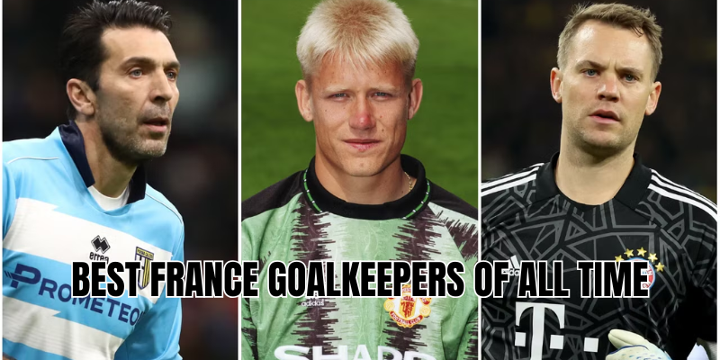 best france goalkeepers of all time